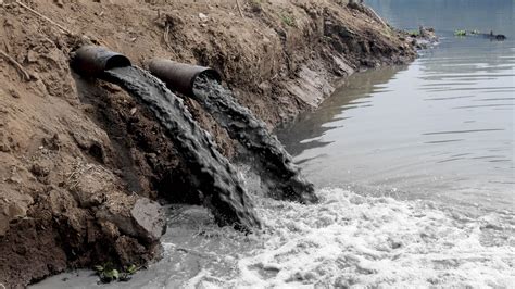 Bioinspired Water Filtration Makes Nearly Anything Drinkable