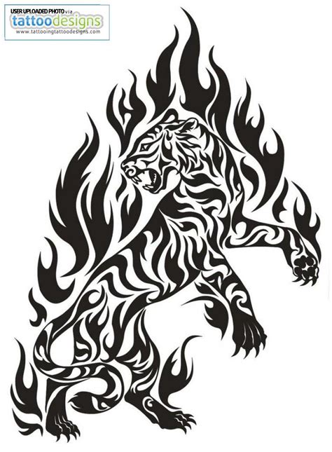 Fire Tiger Tattoo - Cliparts.co