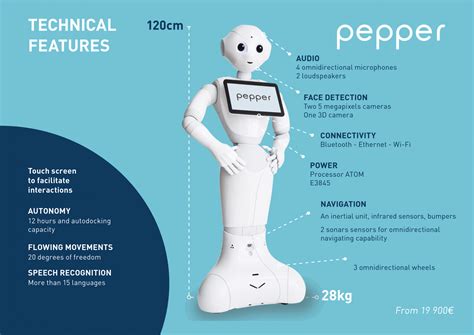 Humanoid Robot “Pepper” – Fumiko Katsuki