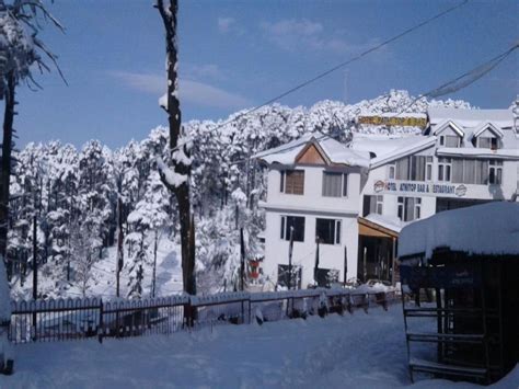 Hotels in Patnitop, India - price from $38 | Planet of Hotels