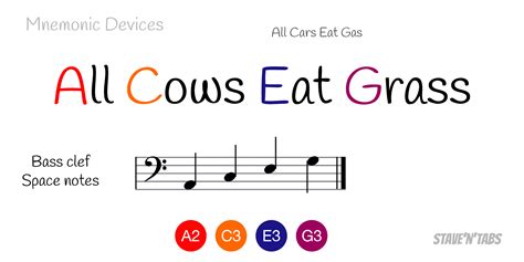 Mnemonics For Learning Bass Clef Notes | Bass Clef Notes