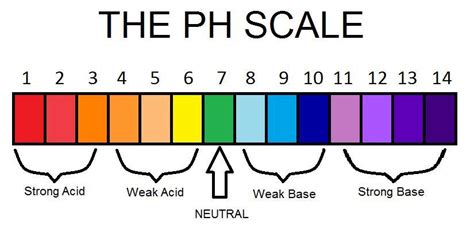 Physical Science Project