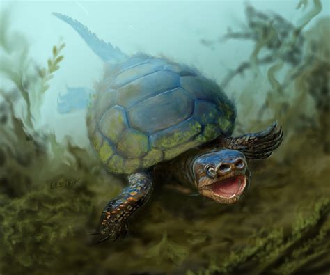 Prehistoric Sea Turtle