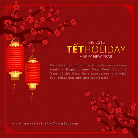 Tet Holiday card for Aestheticsbyconnie.com