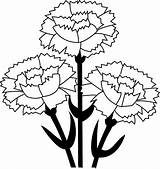 Carnation Coloring Pages  Best Coloring For Kids sketch template