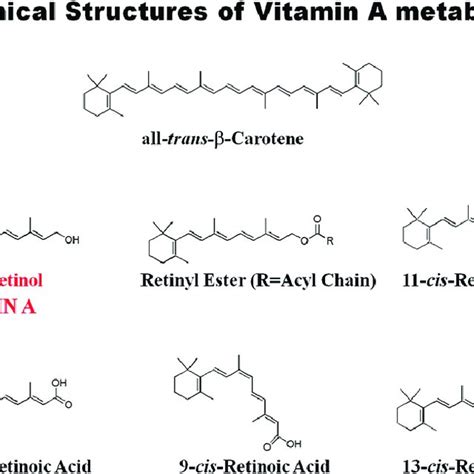 (PDF) Retinol and retinyl esters: Biochemistry and physiology