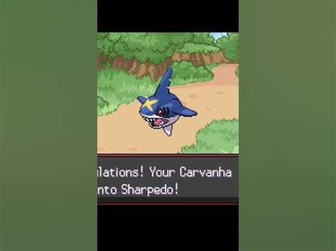 Evolution of Carvanha || #pokemon #pokemonshorts #carvanha #sharpedo ...