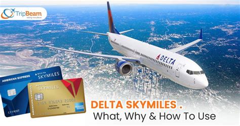 Delta Skymiles - What, Why & How To Use - TripBeam Blog