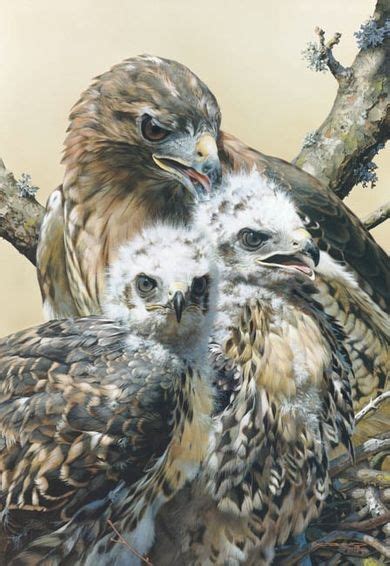 Wisdom and Innocence - Carl Brenders | Wildlife art, Wildlife paintings ...