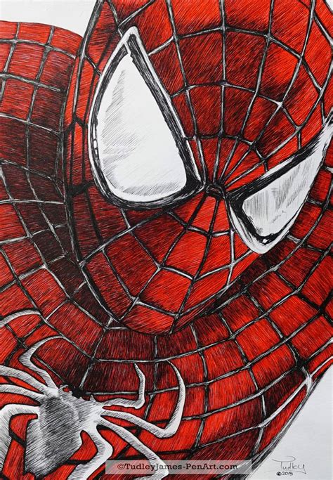 Spiderman in Pen Drawing by Tudley james | Saatchi Art