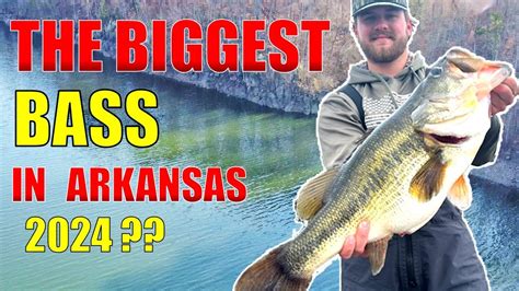 YOU Are NOT Using This Fishing Technique For BIG BASS – Bass Manager | The Best Bass Fishing ...