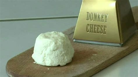 Pule Cheese - World's Most Expensive Cheese of Donkey Milk - XciteFun.net