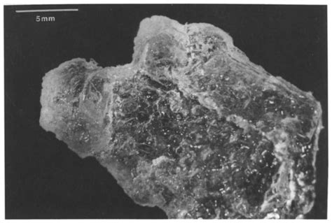 Photograph of a typical carnallite crystal taken from the surface of ...