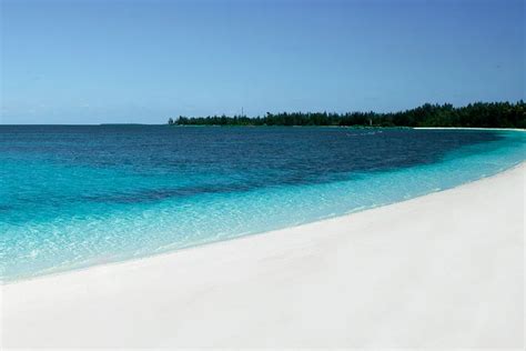 9 Best Freeport Bahamas Beaches on Grand Bahama Island