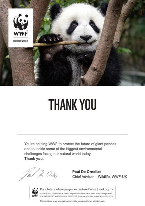 Adopt a Panda | WWF