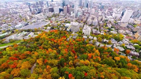 Aerial view Mount Royal Park (Mont-Royal) - Montreal (Quebec) - Canada ...