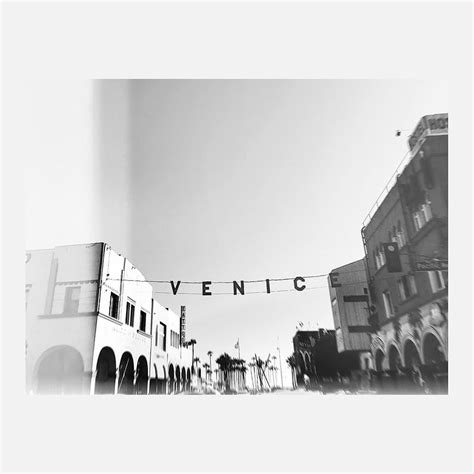 Venice Beach | Photo Wall Mural | 41 Orchard