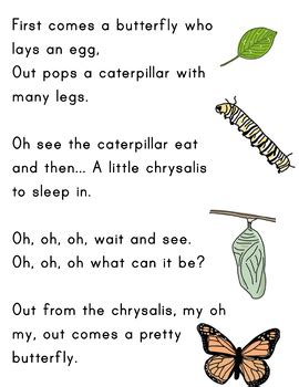 Butterfly Life Cycle song by Emerging Education 2 | TPT