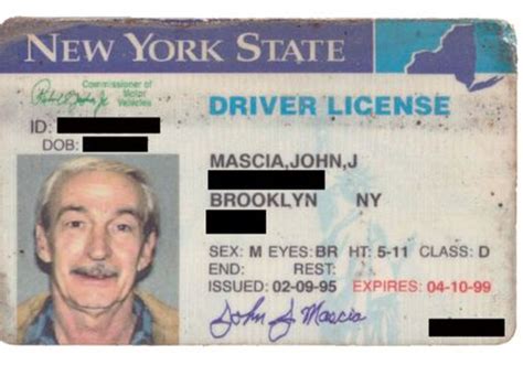 Evolution of the New York Driver’s License | Others