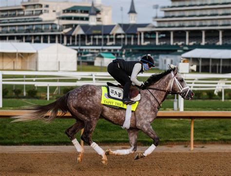 Kentucky Derby picks 2023: Winners, long shots and horses we like to ...