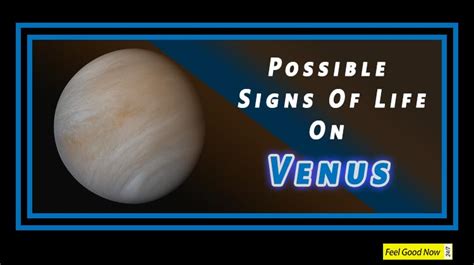 A New Study Hints Possible Signs Of Life On Venus