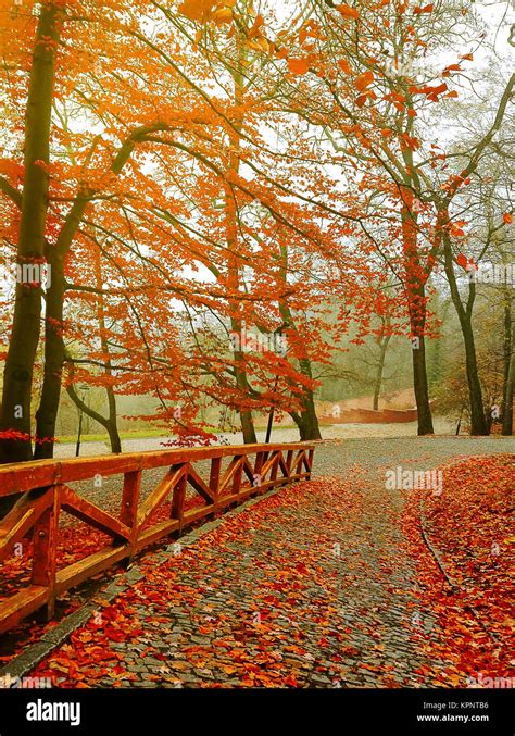 Autumn. Fall scene. Beautiful Autumnal park. Beauty nature scene ...