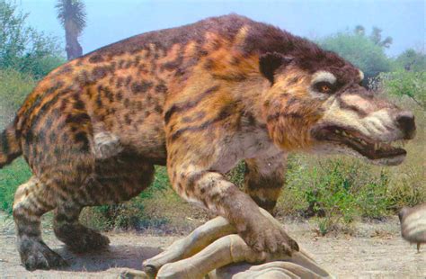 Animales de la prehistoria extintos y vivos | Cinco Noticias