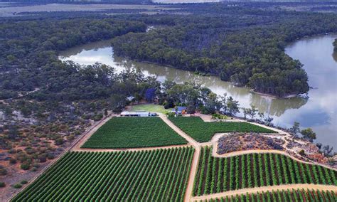 Riverland wine centre project begins to take shape - The Lead SA