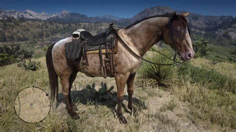 Missouri Fox Trotter | Red Dead Wiki | Fandom