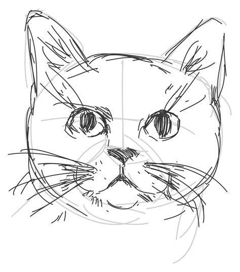 How to draw a cat. #kunstideen | Tutoriel dessin chat, Dessin chat, Comment dessiner un chat