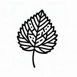 Simple Elm Leaf Coloring Page For Young Children  AI Art Generator sketch template