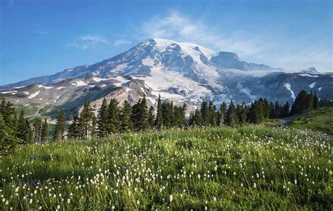 Hotels near Mount Rainier National Park in WA – Choice Hotels