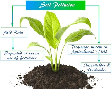 Soil Pollution - Definition, Causes, Effects, Solutions