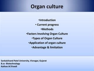 Organ culture- animal tissue culture | PPT