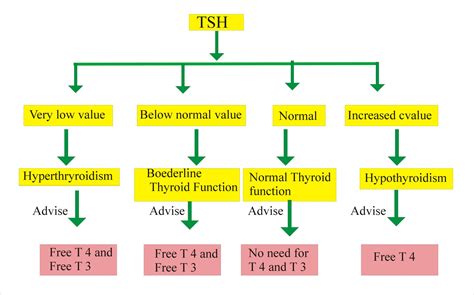 Thyroid - Part 8 - T3 Free , Free Triodothyronine - Labpedia.net