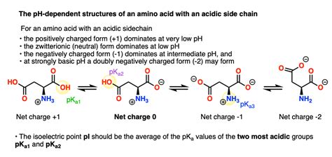 Isoelectric Points Of Amino Acids (and How To Calculate, 48% OFF