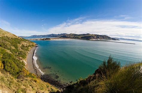 Why Dunedin is New Zealand's Coolest, Best Looking City | Jonistravelling