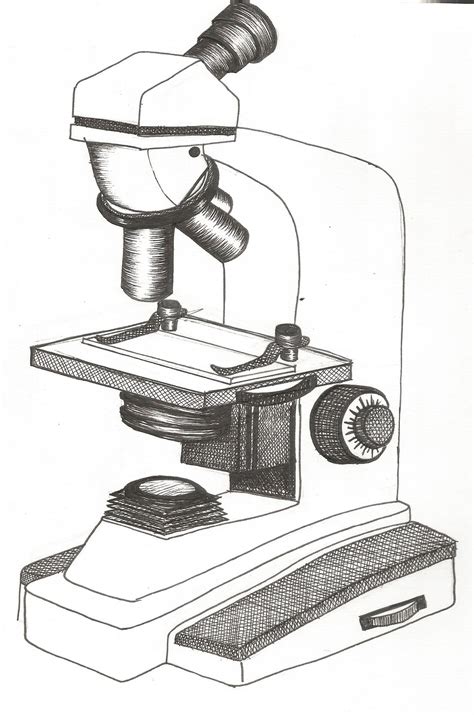 drawing sketch pencil microscope - Clip Art Library