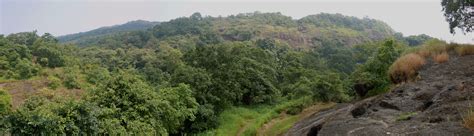 SANJAY GANDHI NATIONAL PARK - MUMBAI Reviews, SANJAY GANDHI NATIONAL PARK - MUMBAI Tourist ...