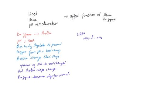 SOLVED: explain how heat, urea, and pH denaturation affect the function ...