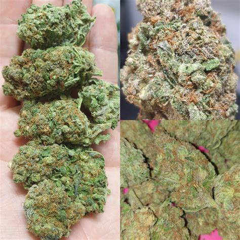 Some OG Kush and a good example of difference in appearance depending on Flash, No Flash and ...