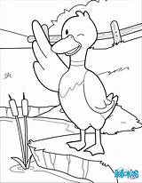 Hello Ducky Duck Coloring Sheets sketch template