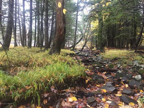 Bridgewater Nova Scotia, Canada -[3264x2448] : r/EarthPorn