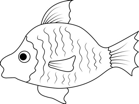 Simple Hand Drawn Sea Fish Outline 5539427 Vector Art at Vecteezy