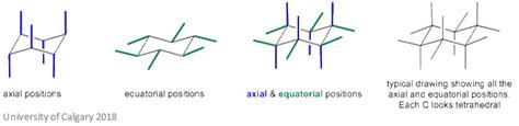 Cyclohexane Axial And Equatorial Positions