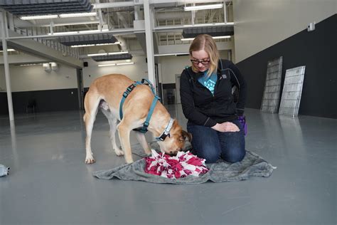 Animal Training | Calgary Humane Society