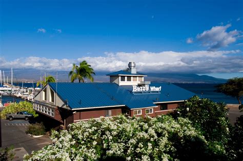 Just look for our iconic Blue Roof - 45+ years in Ma'alaea Harbor! | Maui, Blue roof, Places to ...