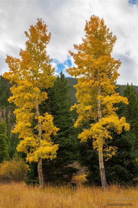 Photos of Rocky Mountain National Park Colorado Fall Colors