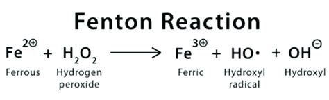 Scheme 1. The Fenton reaction describes the formation of hydroxide (OH ...