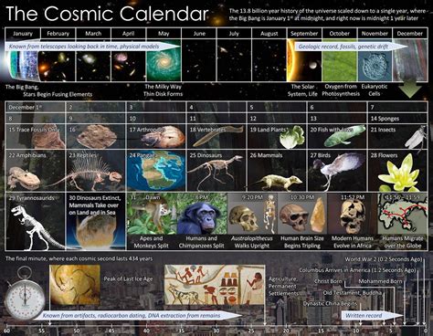 The Cosmic Calendar | Calendario cósmico, Cosmico, Calendario